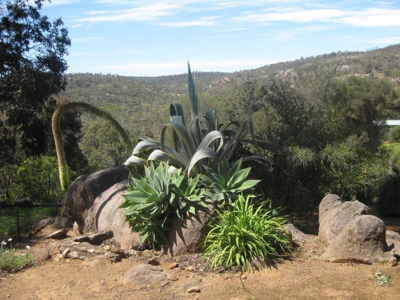 570 Viveash Road, Swan View WA 6056