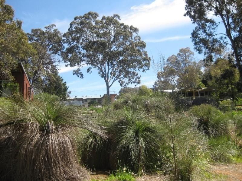 570 Viveash Road, Swan View WA 6056