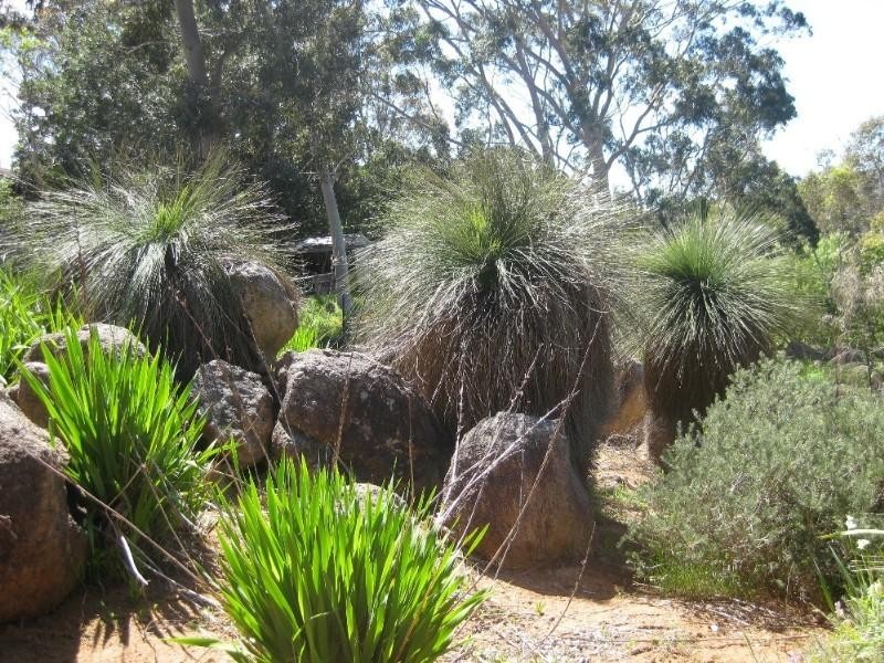 570 Viveash Road, Swan View WA 6056