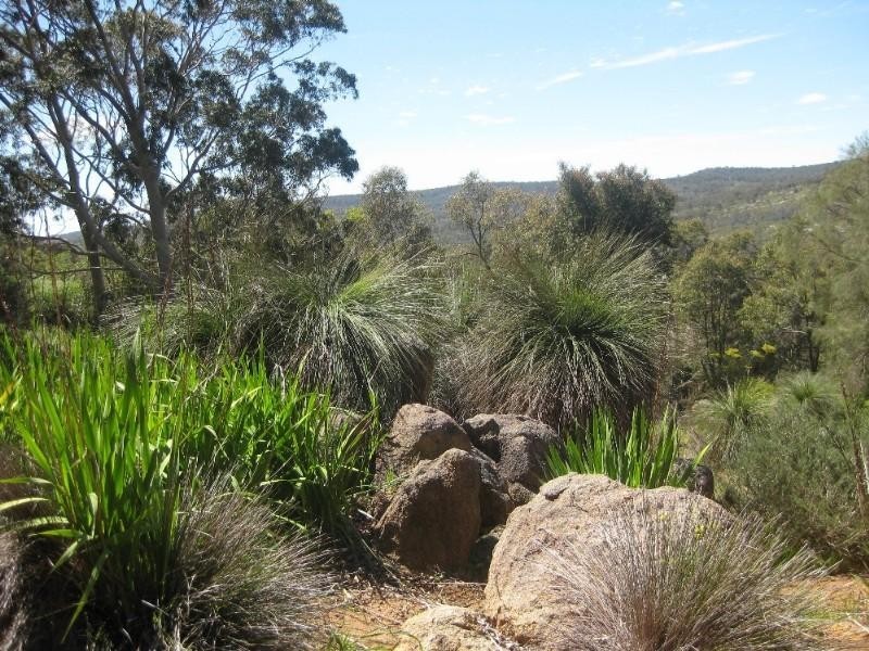 570 Viveash Road, Swan View WA 6056