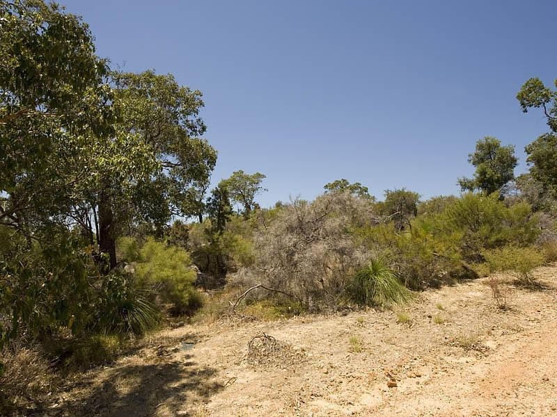 2 Hillway, Swan View WA 6056