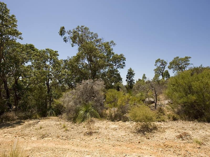 2 Hillway, Swan View WA 6056