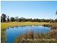 11 Sauvignon Avenue, The Vines WA 6069