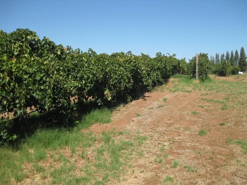 1246 Great Northern Highway, Upper Swan WA 6069