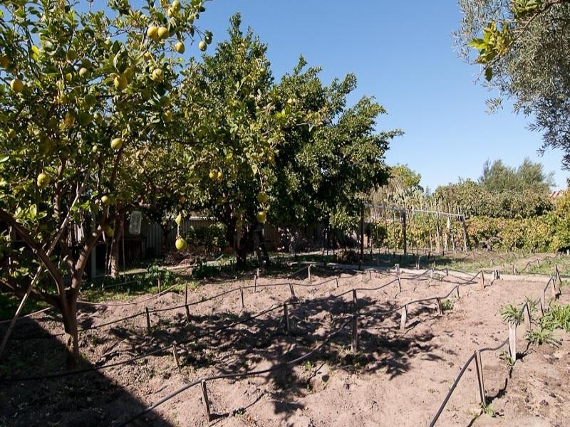 6 Sayer Street, Midland WA 6056