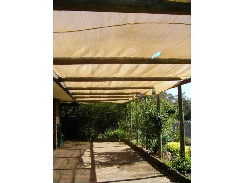 995 Katherine Street, Bellevue WA 6056