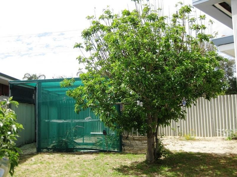 11 Fairfax Road, Swan View WA 6056