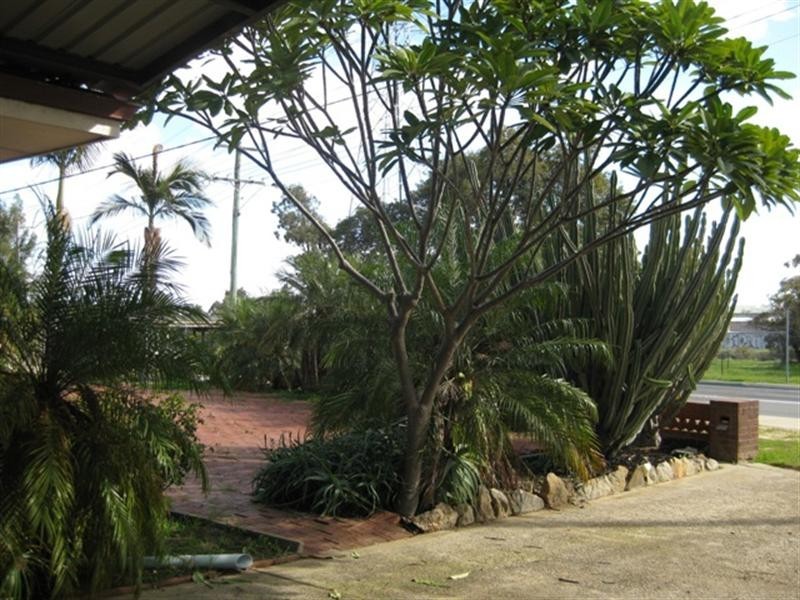 5 Buninyong Road, Greenmount WA 6056