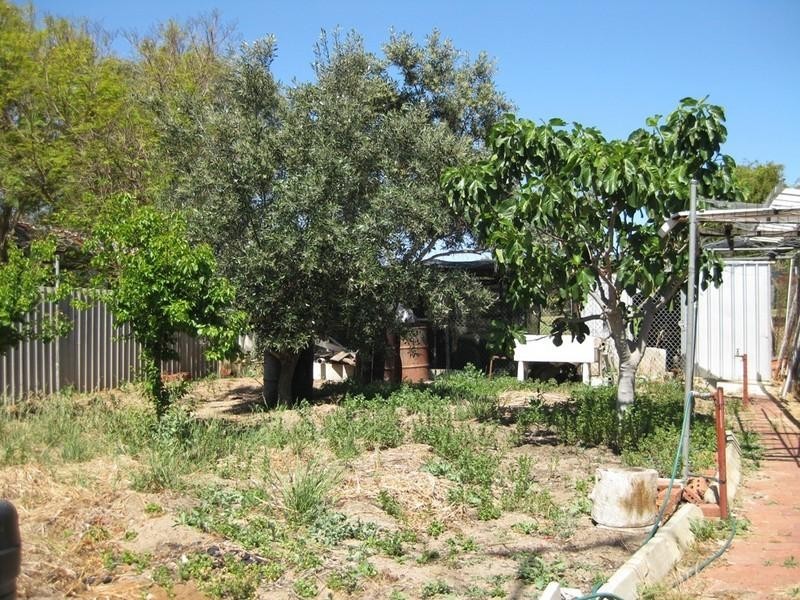 5 Buninyong Road, Greenmount WA 6056