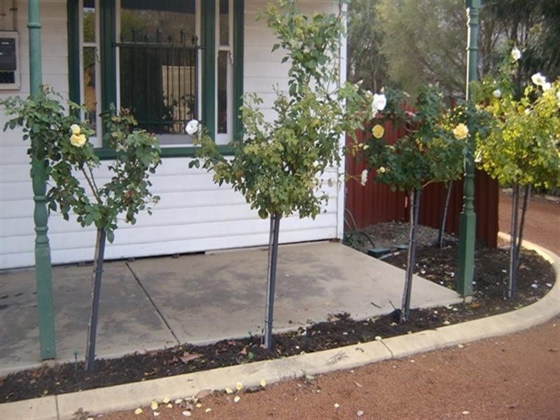 91A Great Northern Highway, Midland WA 6056