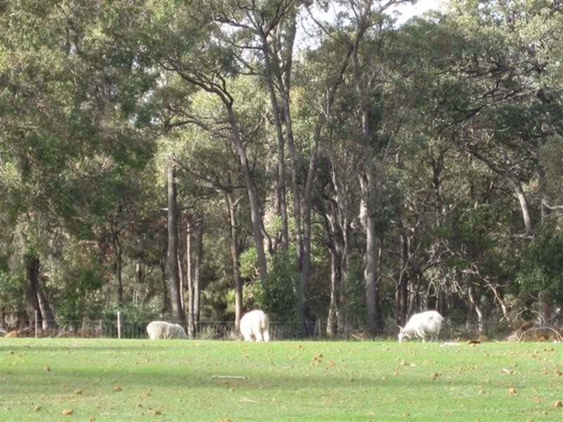 28 Hopedale Ridge, Gidgegannup WA 6083