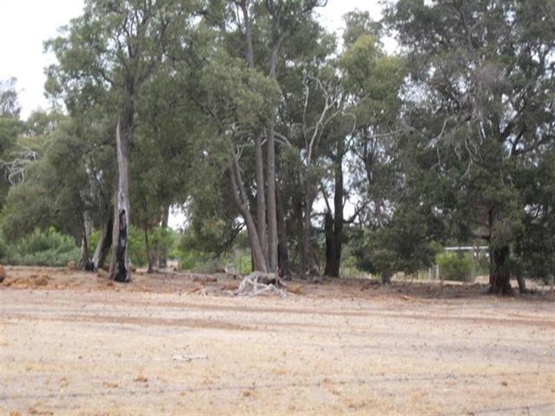 28 Hopedale Ridge, Gidgegannup WA 6083