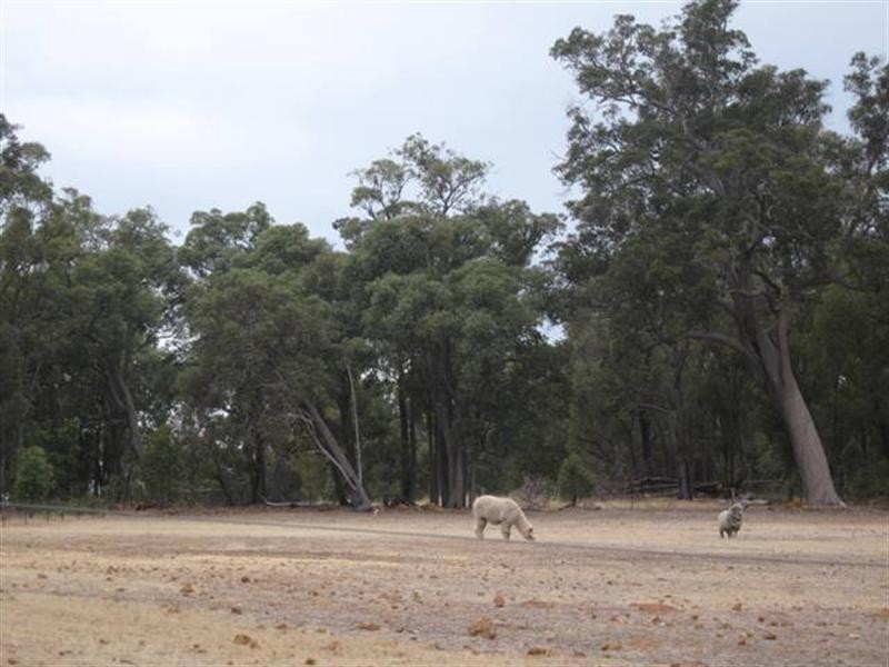 28 Hopedale Ridge, Gidgegannup WA 6083