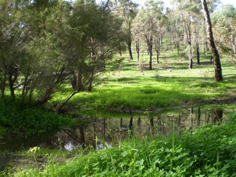 Lot 102 Prichard Road, Greenmount WA 6056