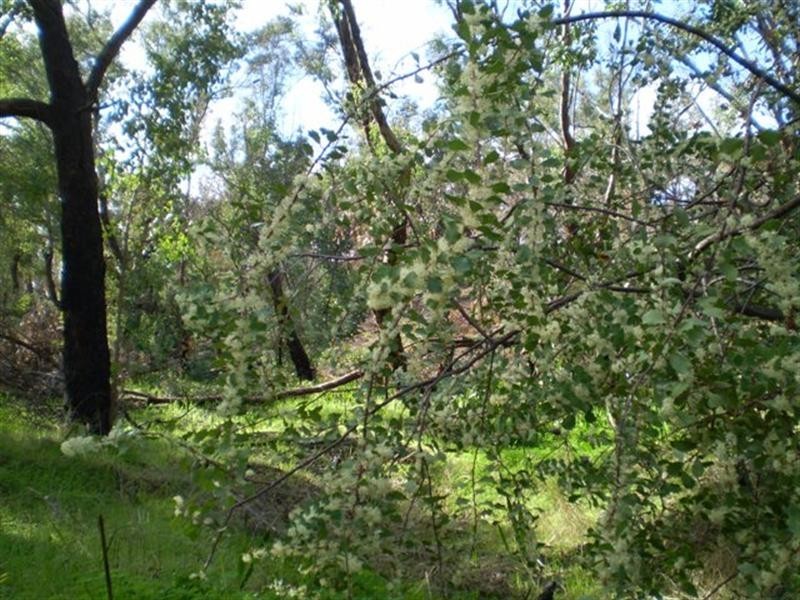 Lot 102 Prichard Road, Greenmount WA 6056