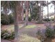 6 Miller Street, Bellevue WA 6056