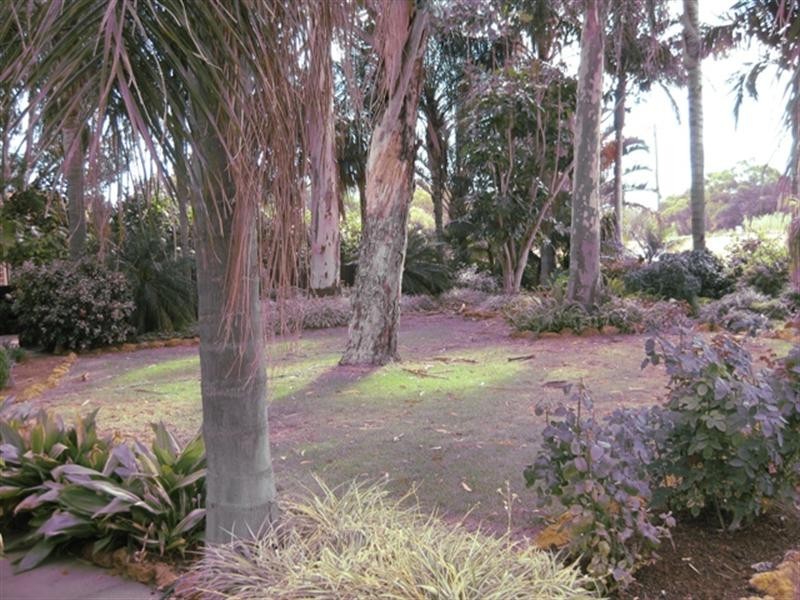 6 Miller Street, Bellevue WA 6056