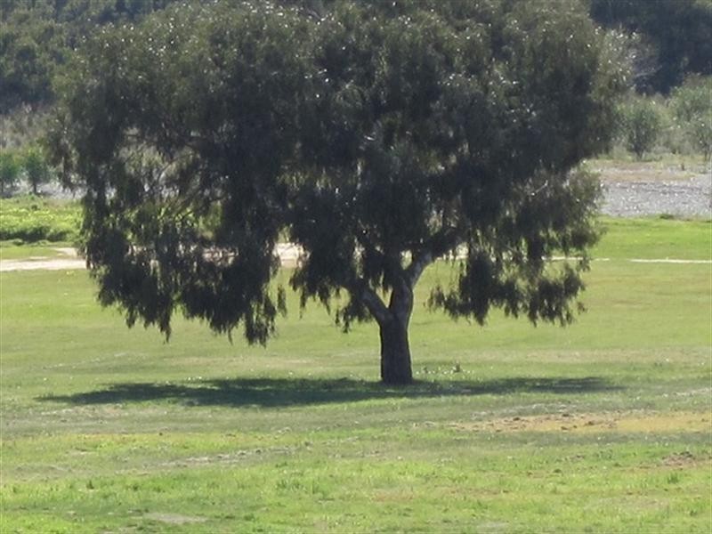 12 Bayley Street, Woodbridge WA 6056