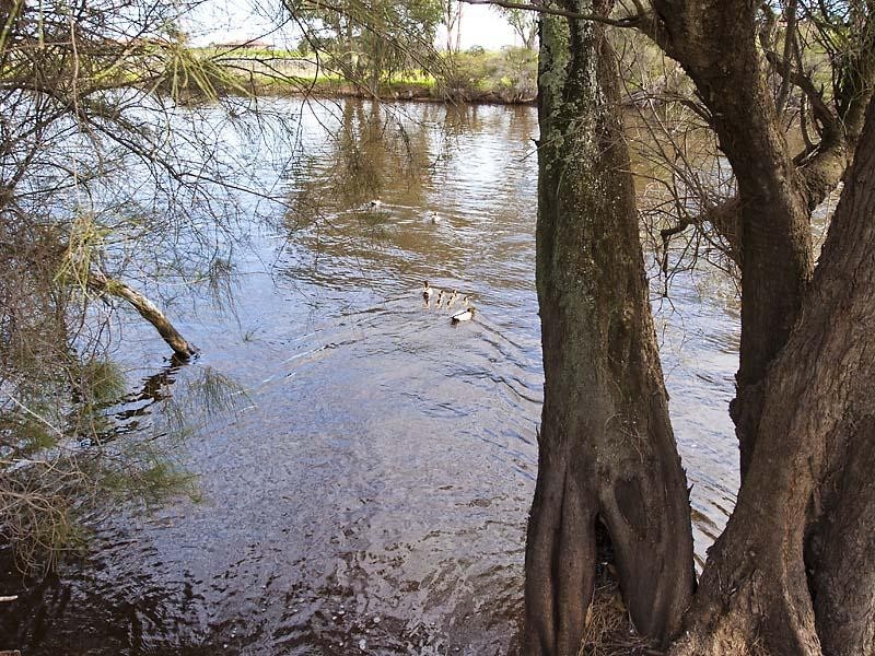 9 Winston Crescent, Viveash WA 6056