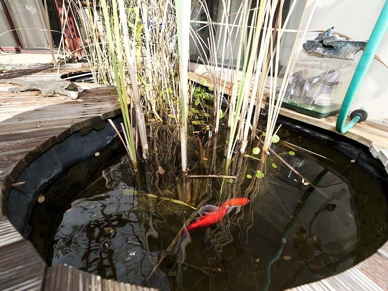 31 Pensacola Avenue, Caversham WA 6055