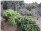 15 Boorabilla Way, Greenmount WA 6056