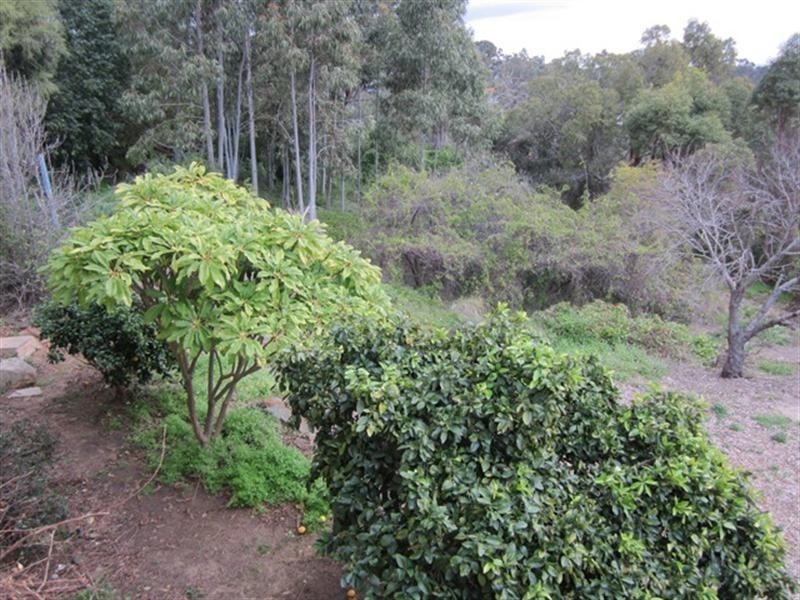 15 Boorabilla Way, Greenmount WA 6056