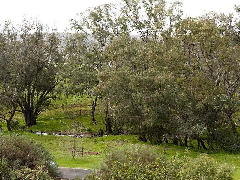 113 Edelweiss Heights, Bullsbrook WA 6084