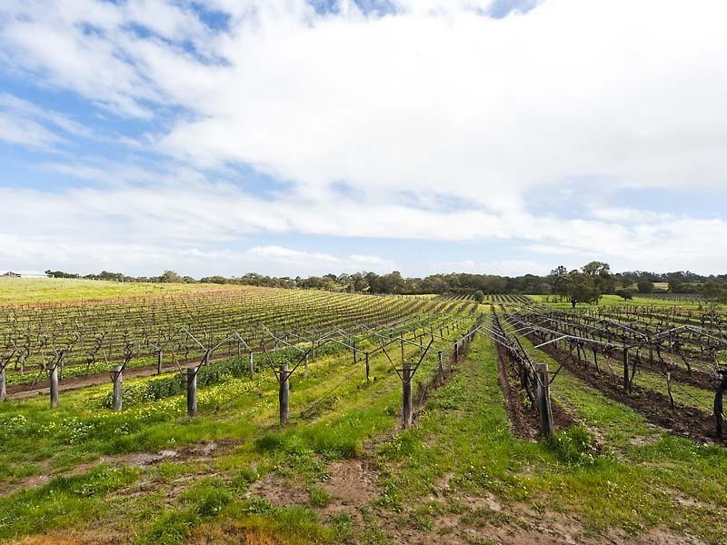 25 Herne Street, Herne Hill WA 6056