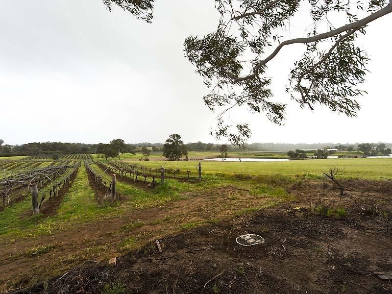 25 Herne Street, Herne Hill WA 6056