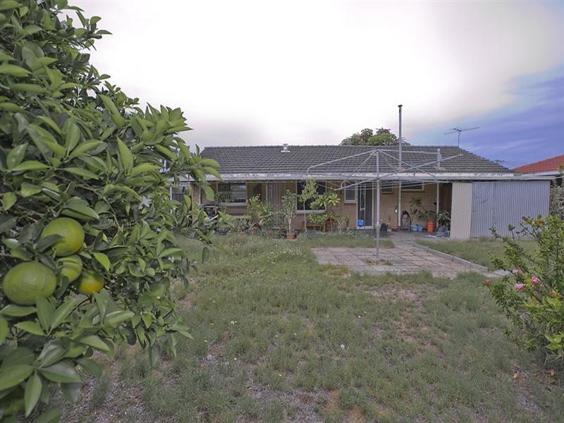 16 Hanlon Street, Hamilton Hill WA 6163