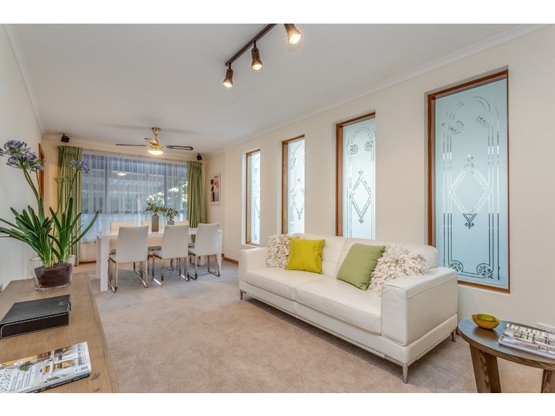 46 Catherine Street, Lower Mitcham SA 5062