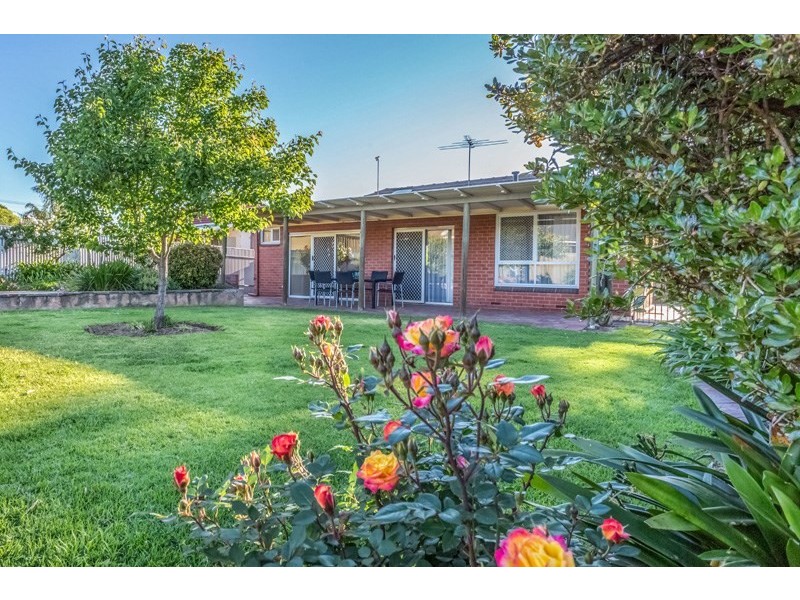 46 Catherine Street, Lower Mitcham SA 5062
