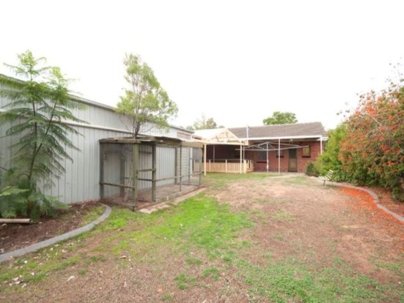 20 Shelley Avenue, Netley SA 5037