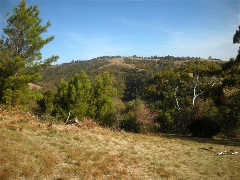 709 Greenhill Road, Burnside SA 5066