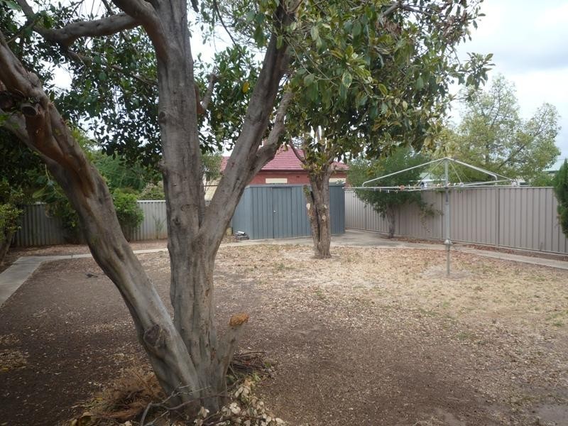 16 Shaw Avenue, Richmond SA 5033