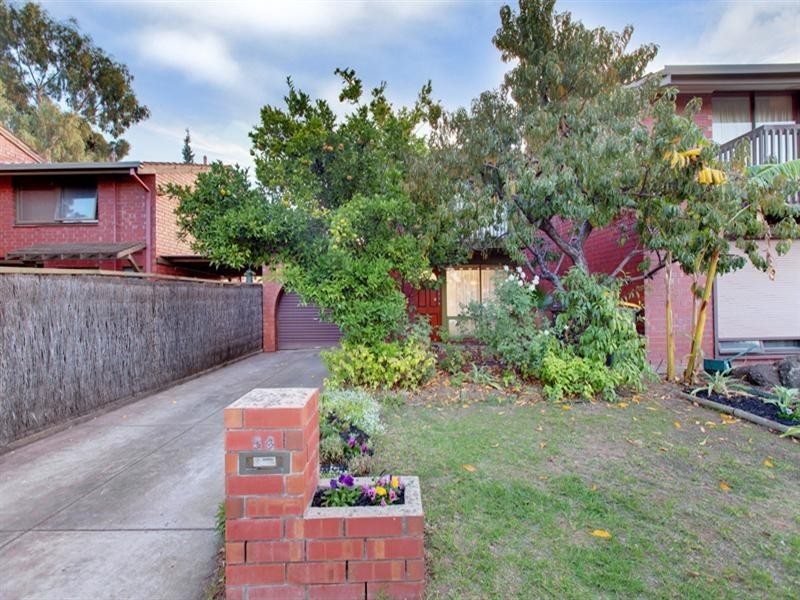 34 Harrison Road, Renown Park SA 5008