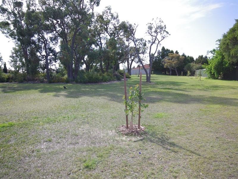 8 Indigo Close, Mirrabooka WA 6061