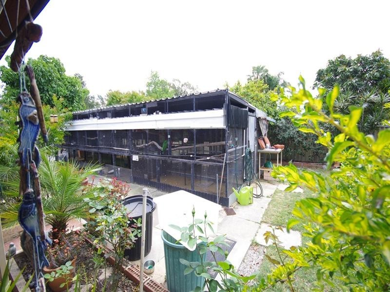 10 Cymosa Place, Mirrabooka WA 6061