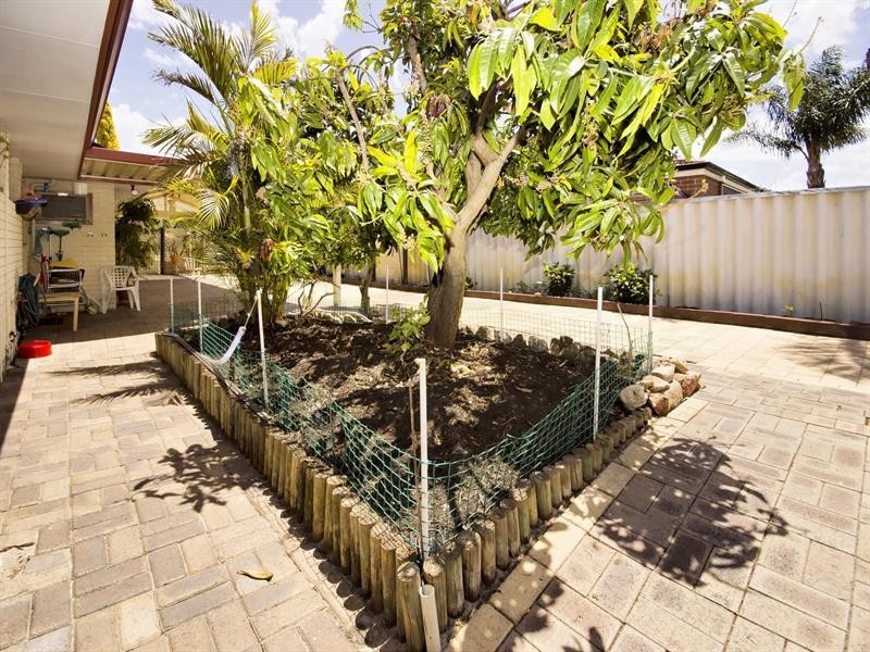 20 Fenchurch Street, Alexander Heights WA 6064