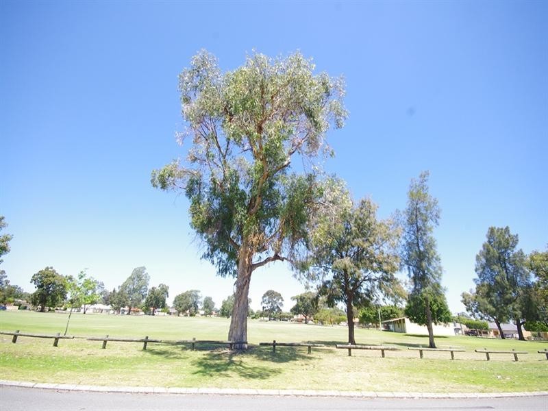 17b Robertsbridge Road, Nollamara WA 6061