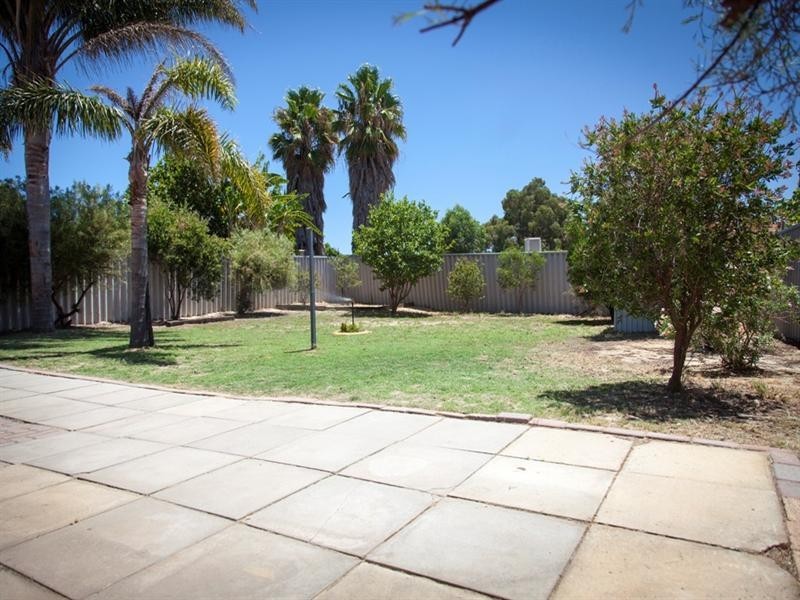 79 Wintersweet Ramble, Mirrabooka WA 6061