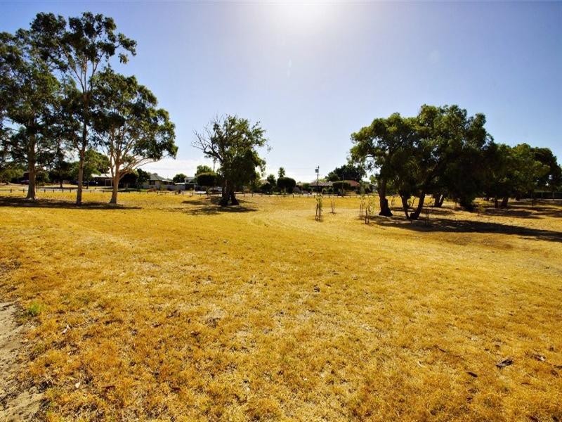 16 Sneddon Place, Balga WA 6061