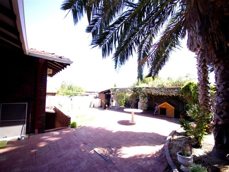 3 Dressler Way, Girrawheen WA 6064