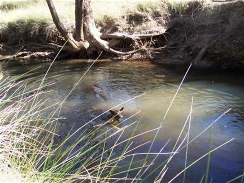 Lot 107 Mogumber West Road, Red Gully WA 6503