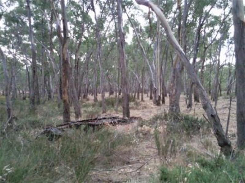 Lot 107 Mogumber West Road, Red Gully WA 6503