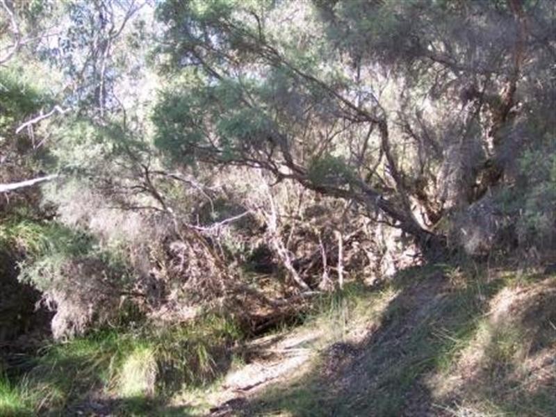 Lot 107 Mogumber West Road, Red Gully WA 6503