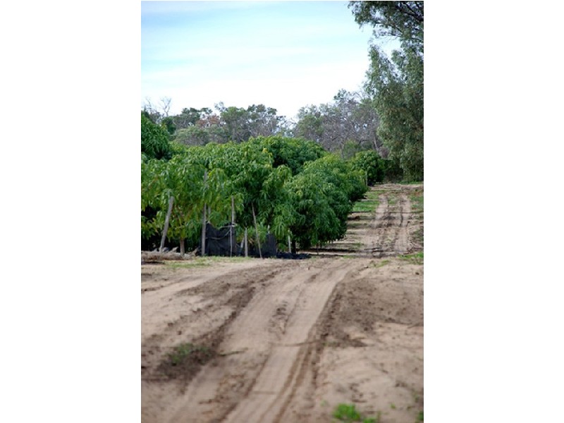 4 Dayrell Road, Nowergup WA 6032