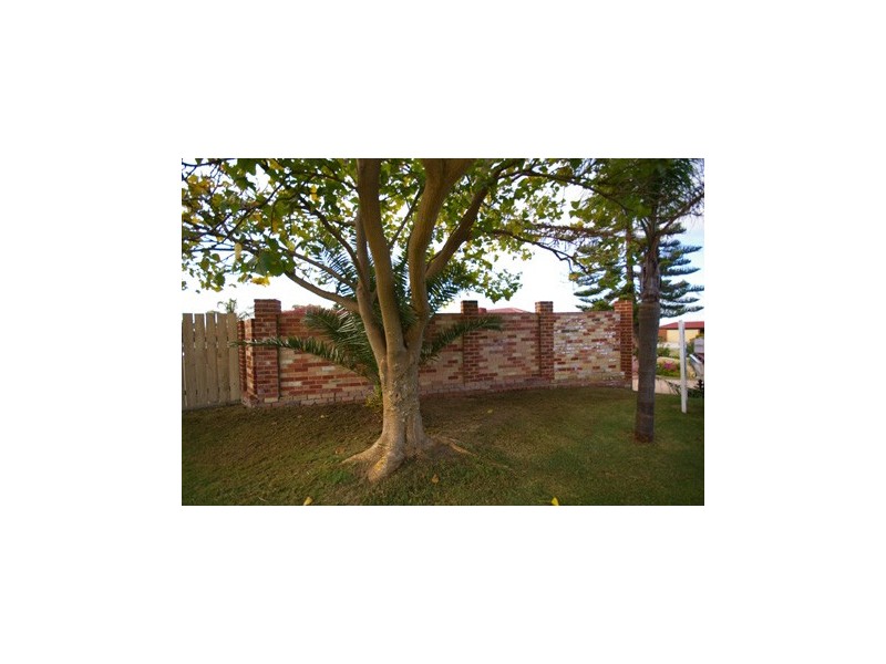 18 Rheingold Place, Mirrabooka WA 6061