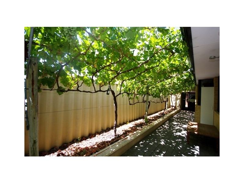 130 Culloton Crescent, Balga WA 6061