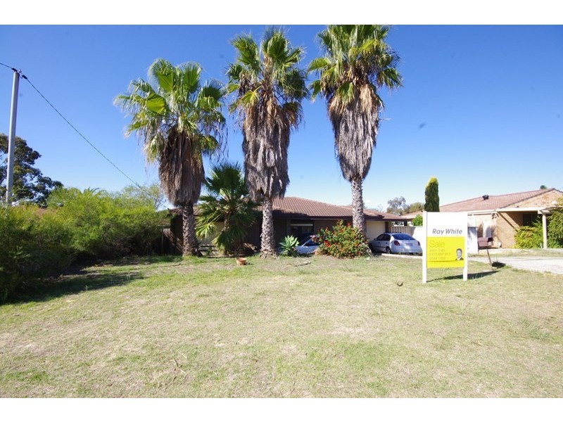 66 Dryandra Drive, Mirrabooka WA 6061